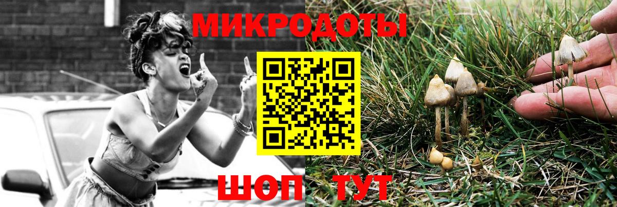 Нурлат  Псилоцибиновые грибы Cubensis  Вход с VPN  Псилоцибиновые грибы мухоморы 